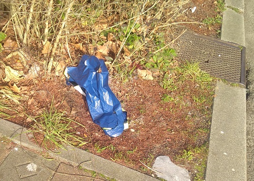 zwerfafval Eindhoven