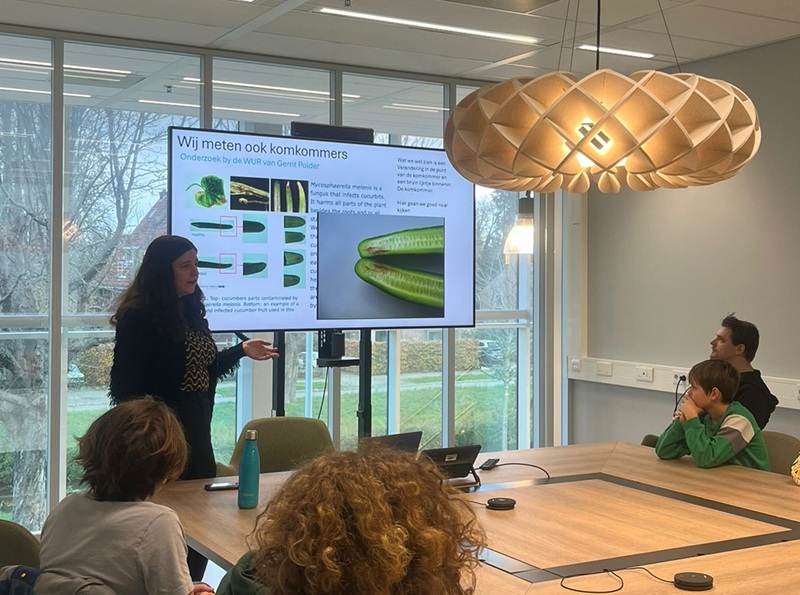 les over komkommers meten