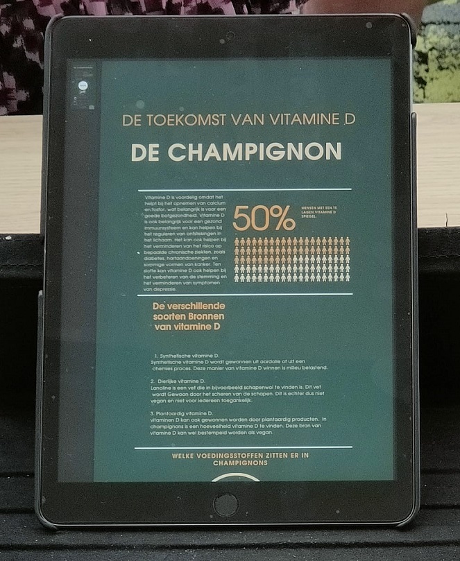 champignonrecept