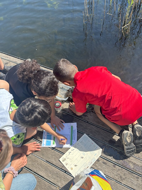 opschrijven wat ze vonden