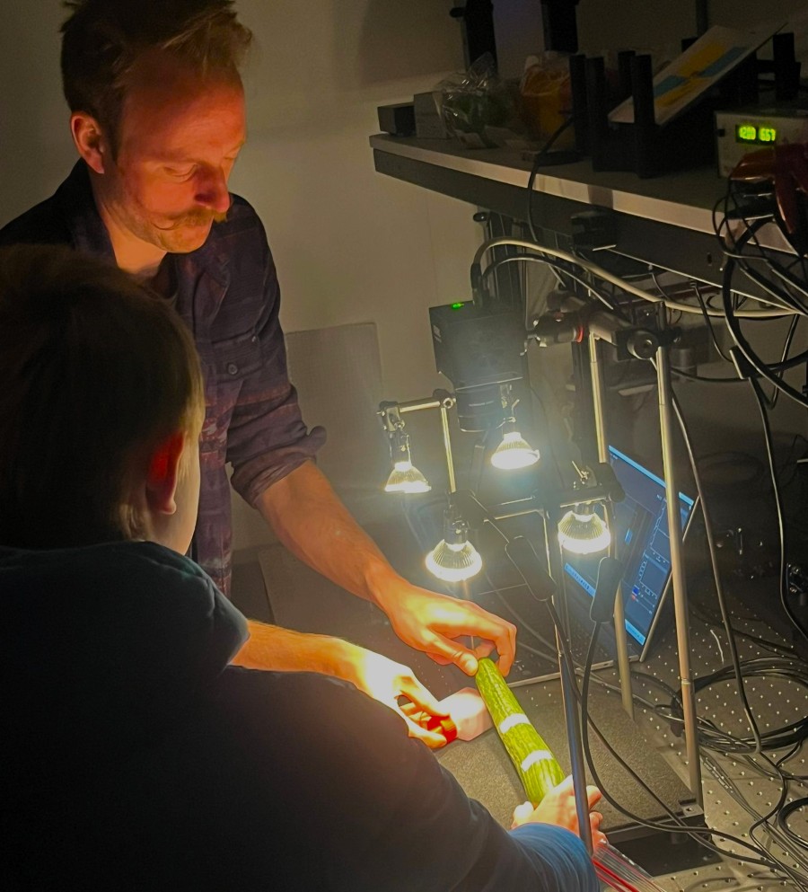 onderzoek van komkommer